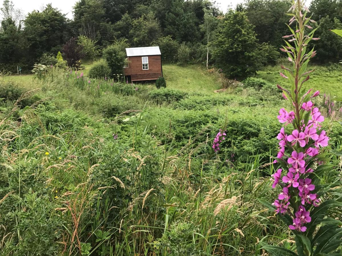 Pat'S Place Apartman Ballaghaderreen Kültér fotó